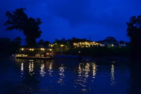 Kota Tinggi Firefly Park